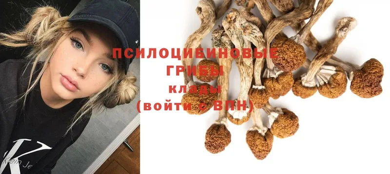 Псилоцибиновые грибы Magic Shrooms  OMG рабочий сайт  Боровск 